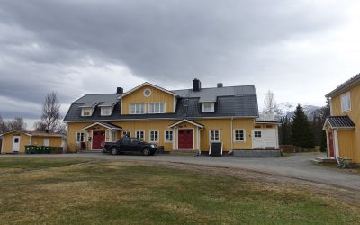 Årsmöte och styrelse 19-20